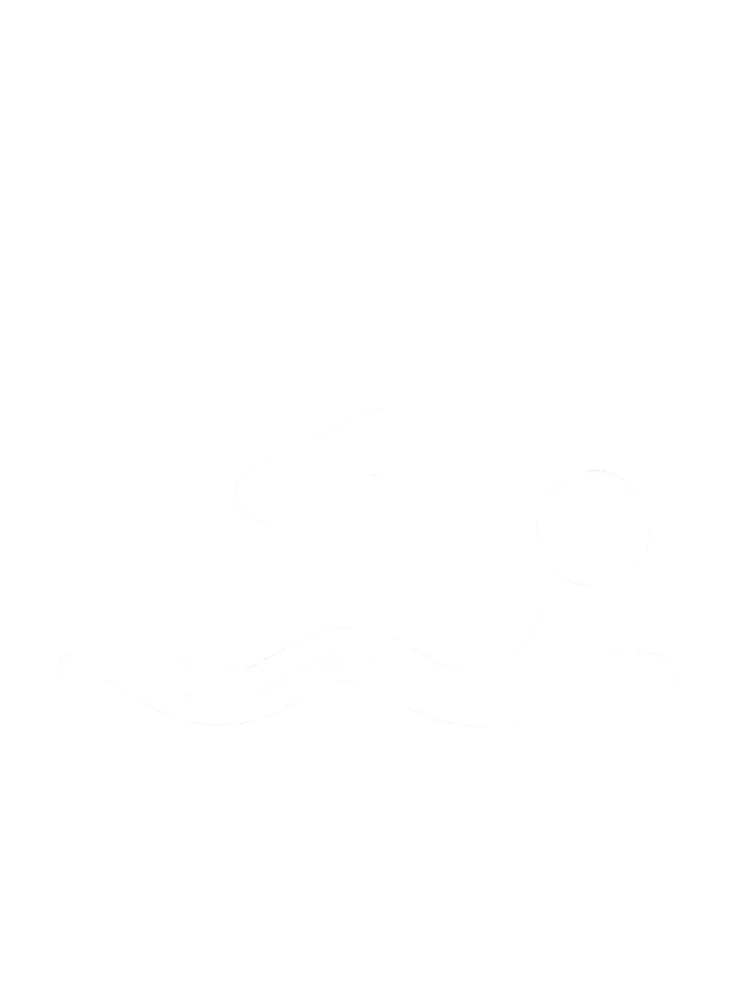 LOGO SWIMMING POOL
