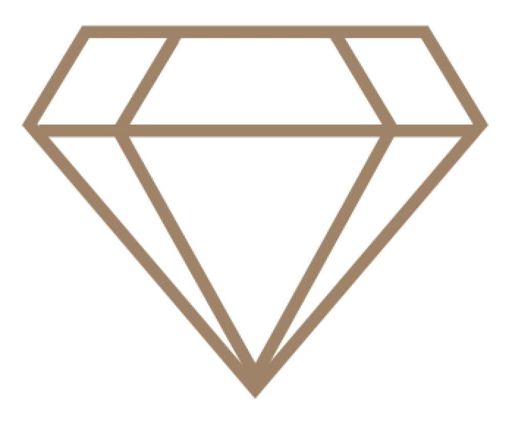 VIP ICON